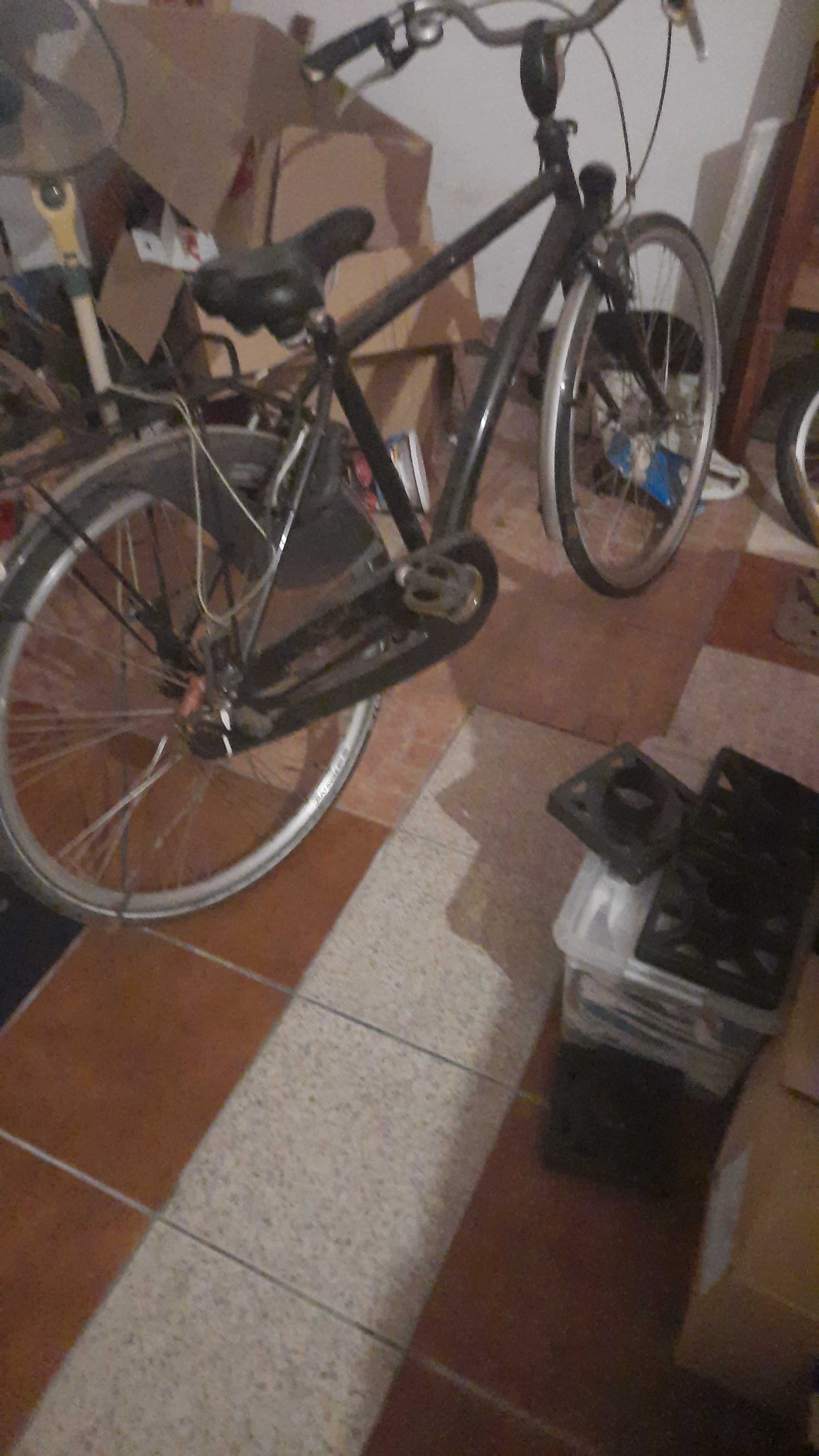 Bicicleta holandesa