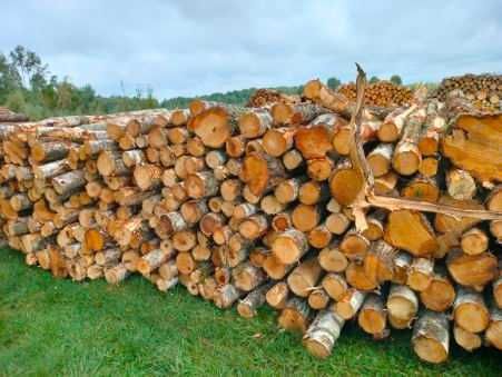 Drewno opałowe od 170zl za 1mp