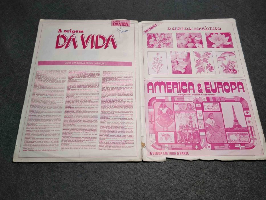 Antiga caderneta A origem da vida - falta 1 cromo