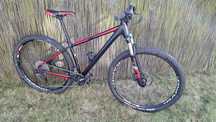 Rower MTB Focus Black Forest SL 29