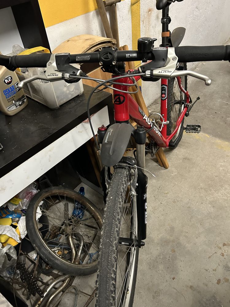 Rower MTB Author