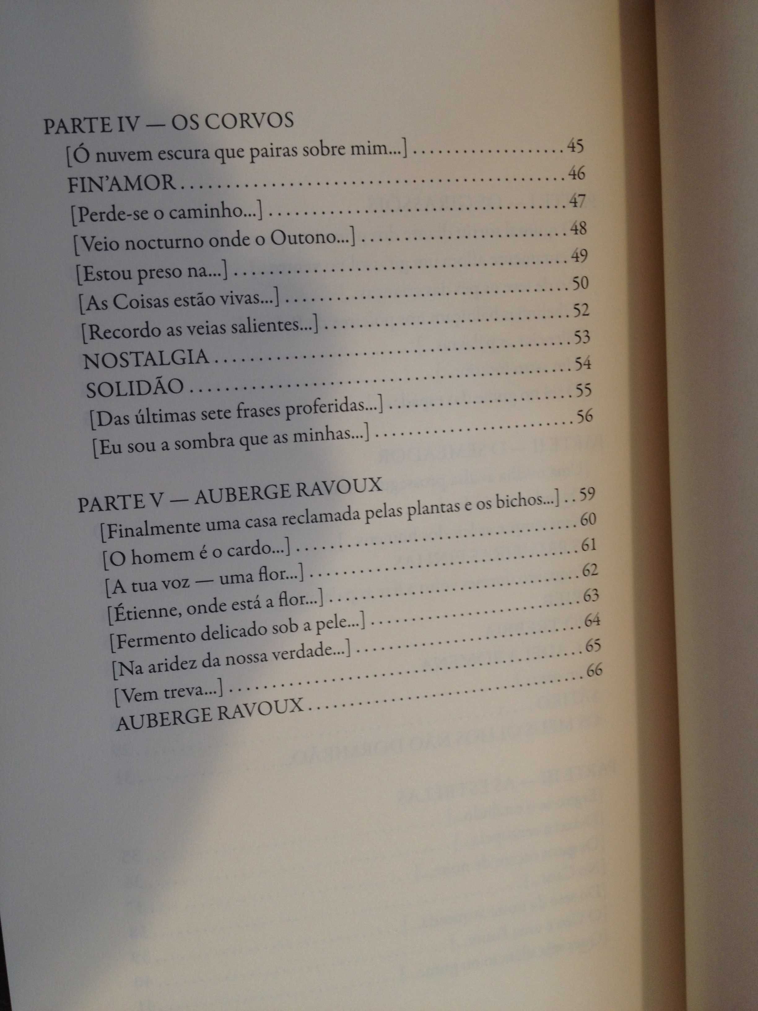 Tomás Sottomayor - Auberge Ravoux