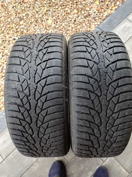 225/50R17 NOKIAN, WR D4