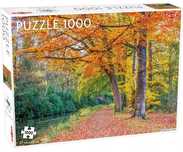 Puzzle Pathway By A Canal 1000
