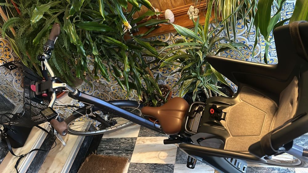 Vendo bicicleta eletrica