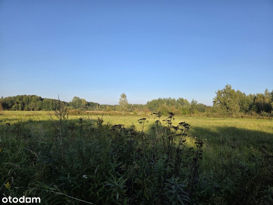 Atrakcyjne działki 2792 m² w Krasnem