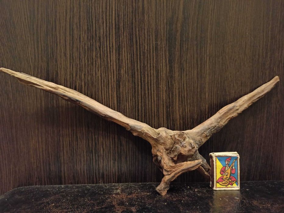 Коряга декор для акваріума # 139. Кораловий корінь. Ціна 380 грн.