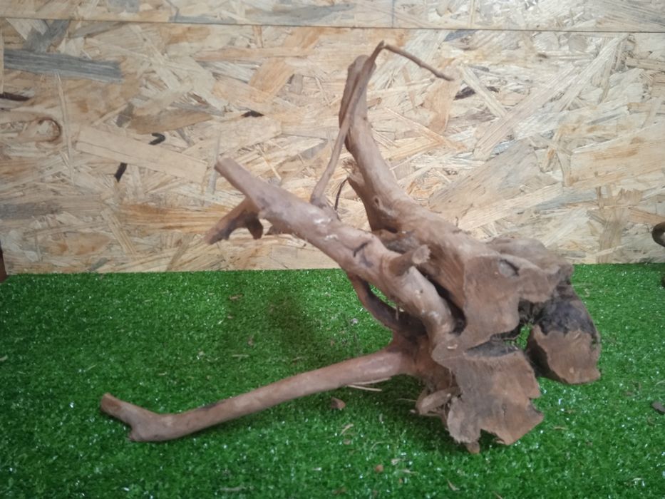 Korzeń do akwarium Red Moore Wood nr 706 o wymiarach 30/12/26