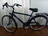Bicicleta Adulto