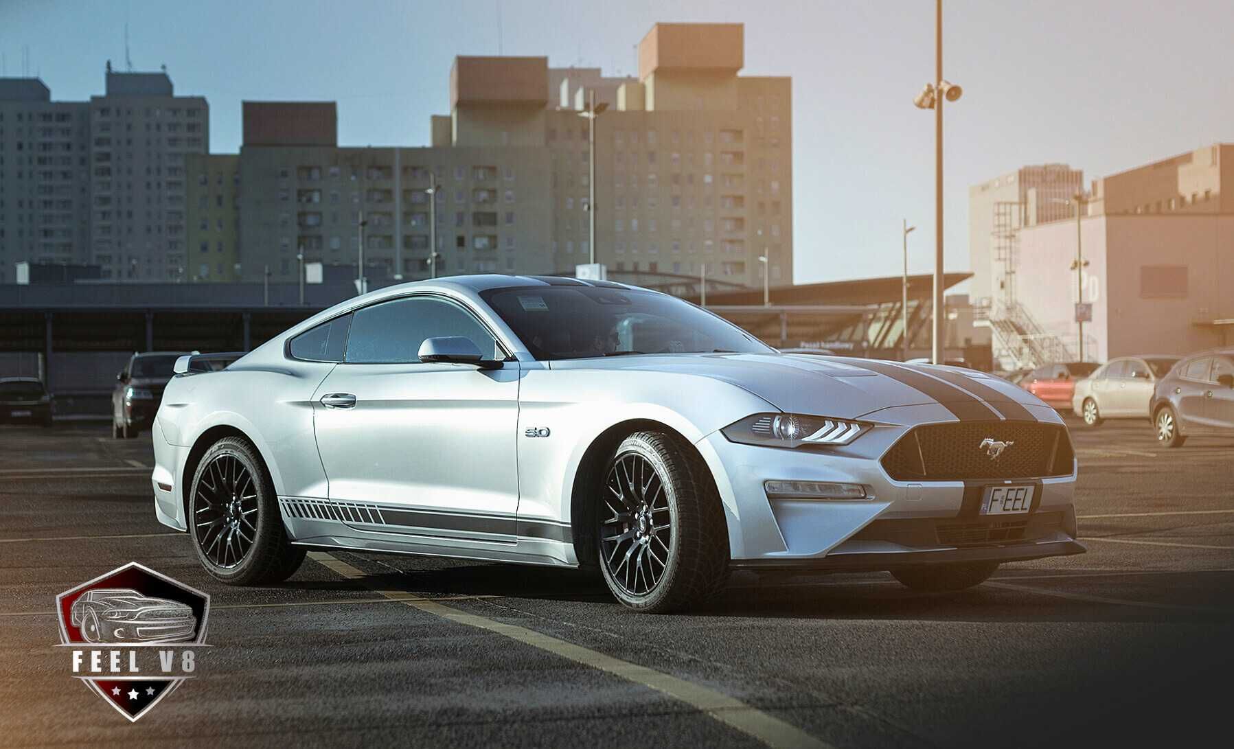 Ford Mustang GT V8 Performance Power – wynajem / wypożyczenie [FeelV8]