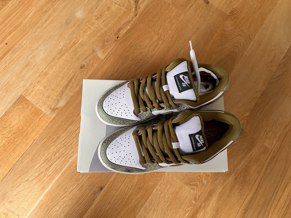 Nike dunk low SB CHAMELEON