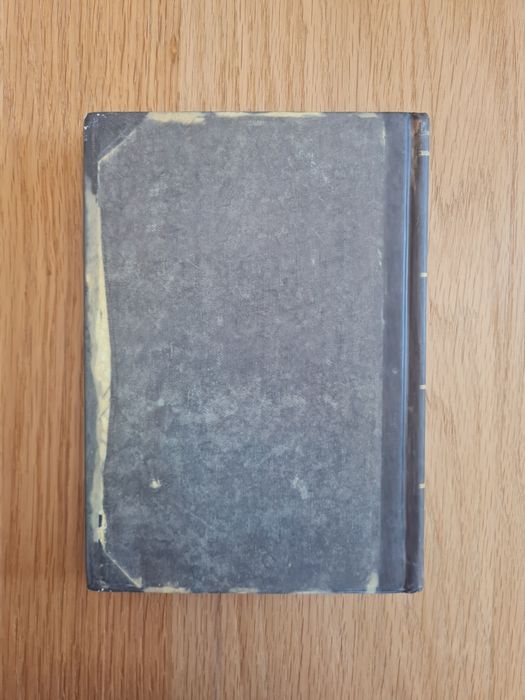 Fairy Oak: o segredo das gémeas