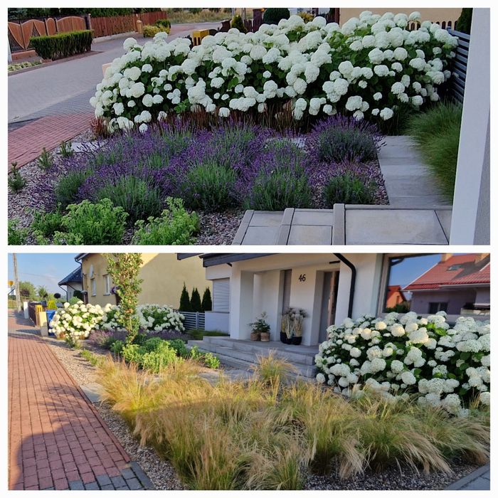 Ogrody, systemy nawadniania, drenaże, studnie, oświetlenie...