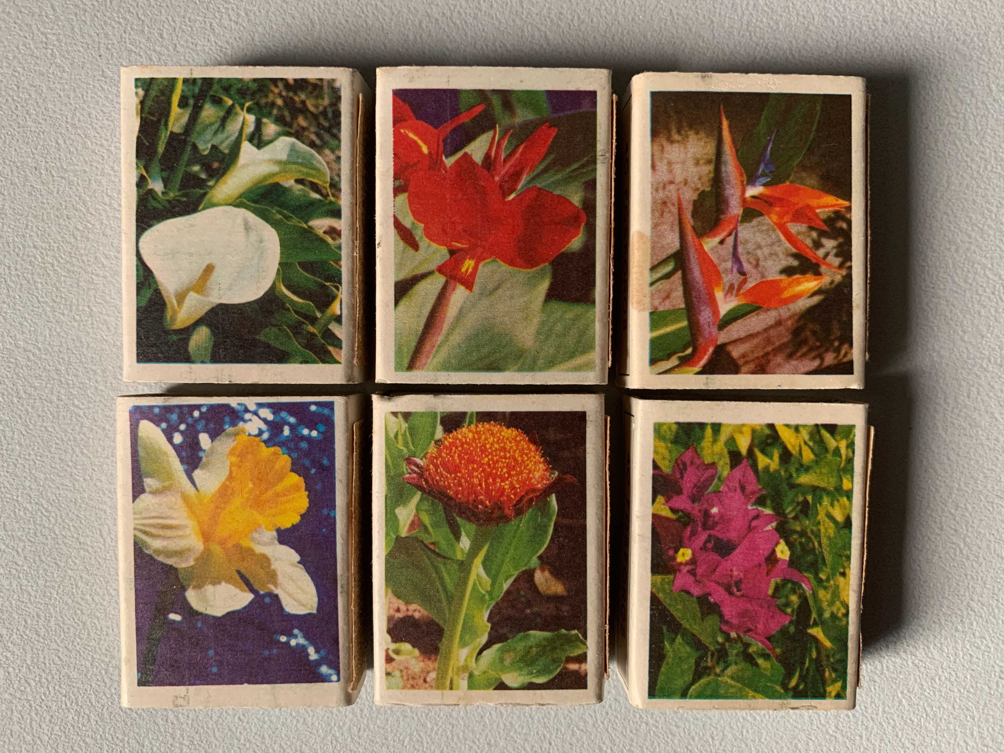 Conjunto de 6 Caixas de Fósforos Antigas - Flores