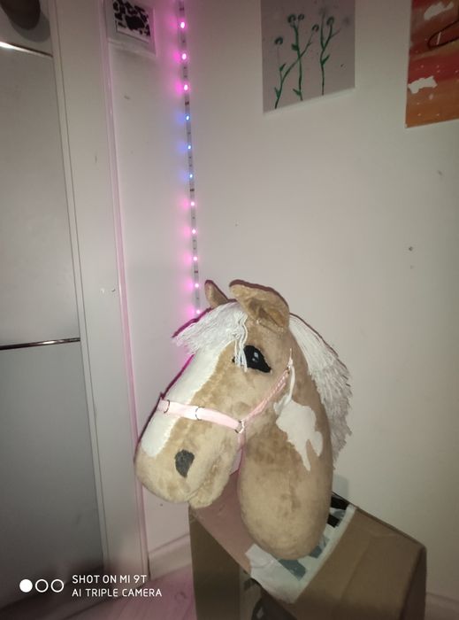 Kantar handmade hobby horse