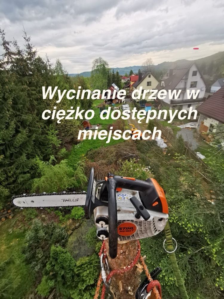 Wycinka drzew w ciężko dostepnych miejscach