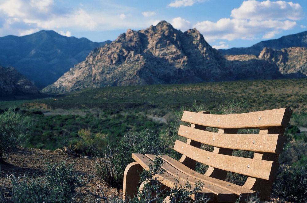 Canon AE-1 with Canon FD 50mm f/1.8 стан нової камери