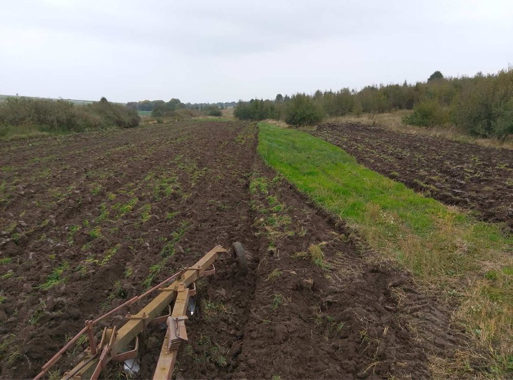 Плуг плн 8-40 в робочому стані