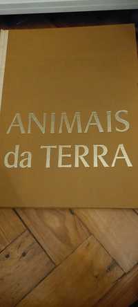 Animals da terra