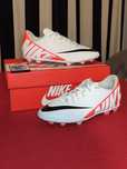 Chuteira da nike