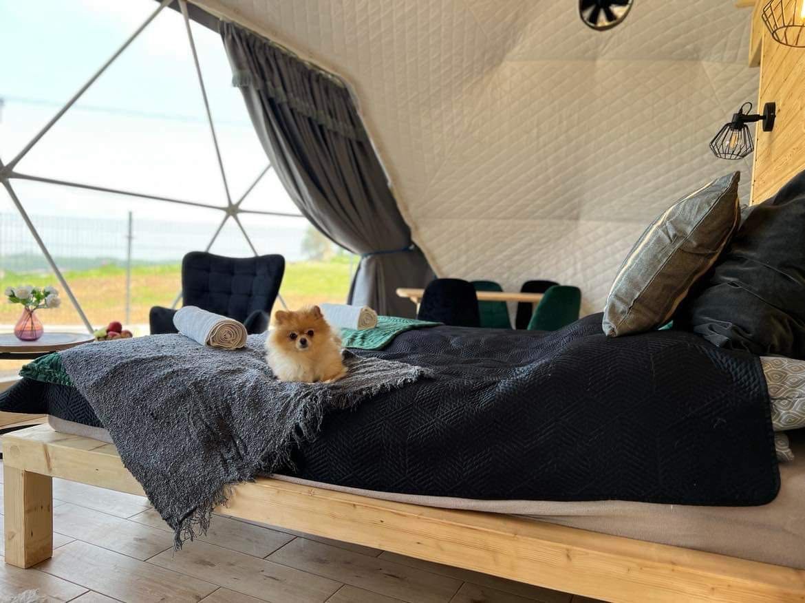 Kopułowy całoroczny namiot sferyczny Glamping 37m2