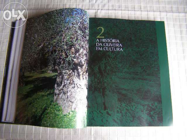 O grande livro da oliveira e do azeite- Portugal oleícola