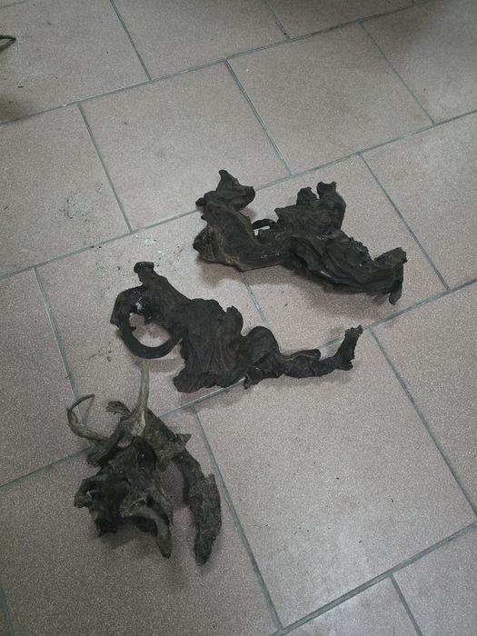 Troncos para Aquarios