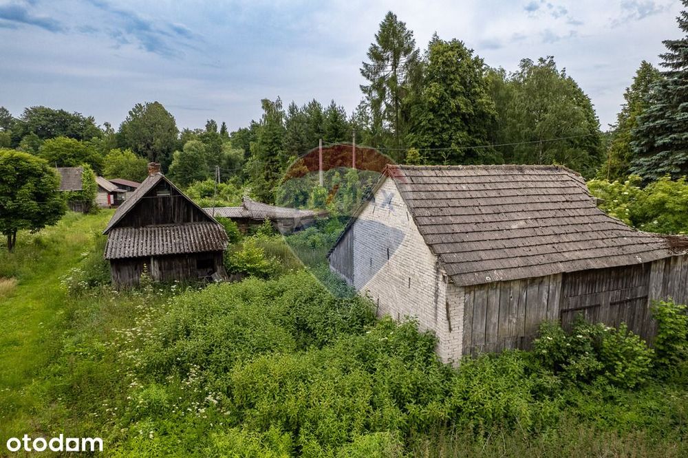 Dom do remontu na 27 arowej działce