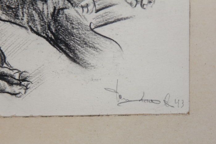 Desenho em carvão vegetal do artista Holandês Van Laere - 1943