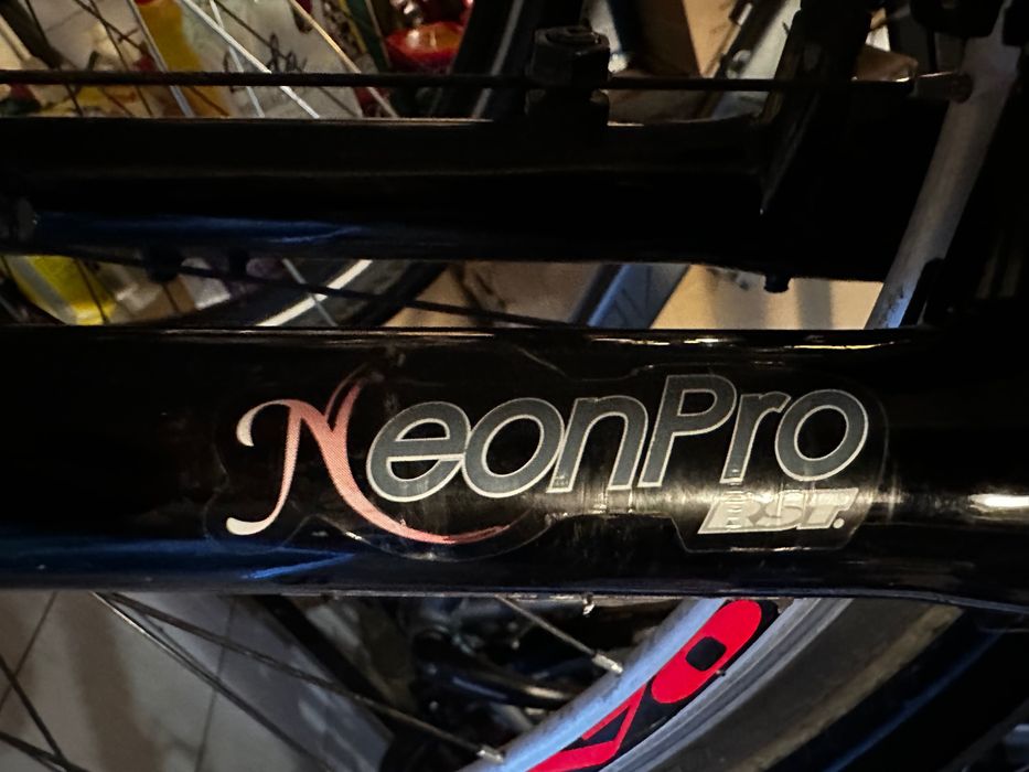 Bottecchia Lite Cross męski 56/22 28”