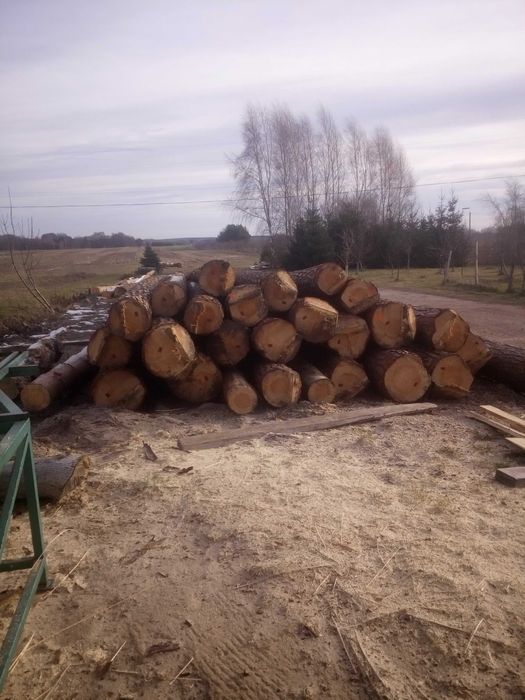 Sosna dłużyca, tartaczna ,przecieranie drewna, krokwie ,płatwie,
