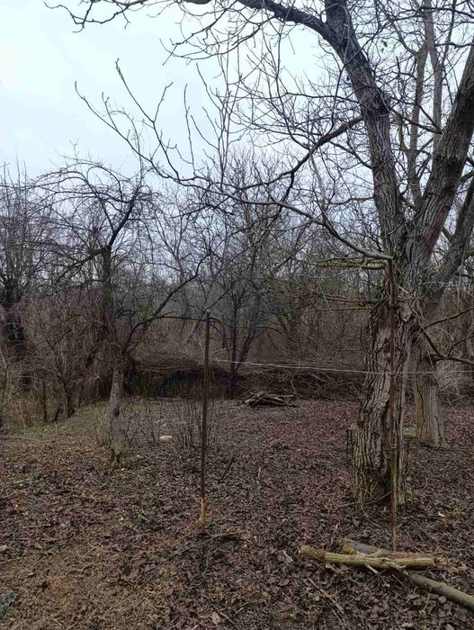 Чистка Ділянок Уборка Участків