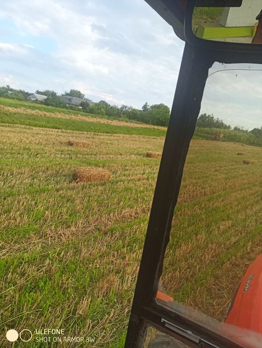 Продам солому пшеничну тюки