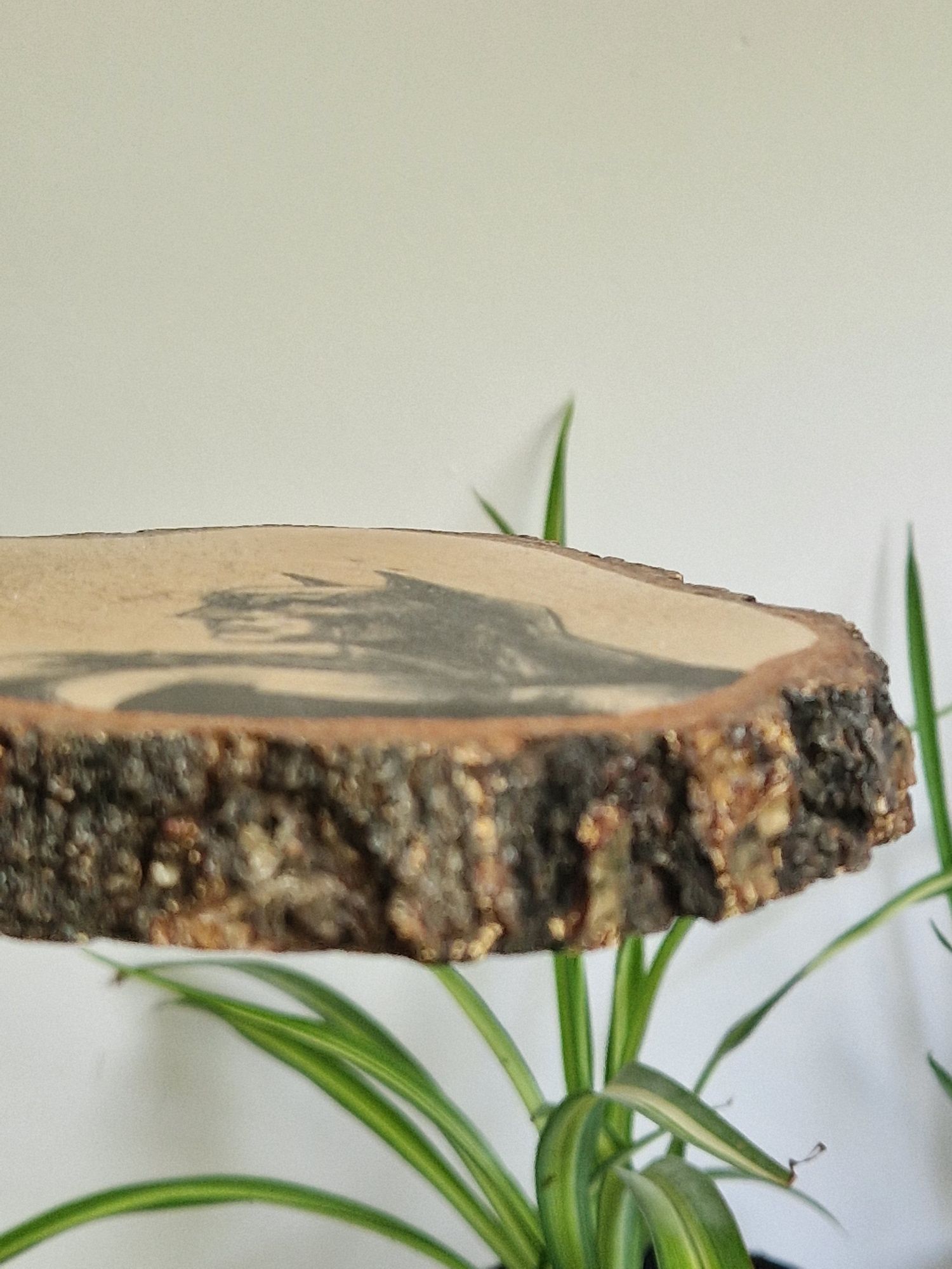 Batman podstawka plaster drewna