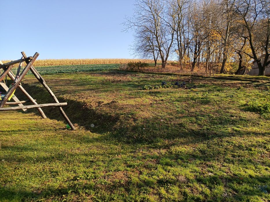 Oddam ziemię za darmo