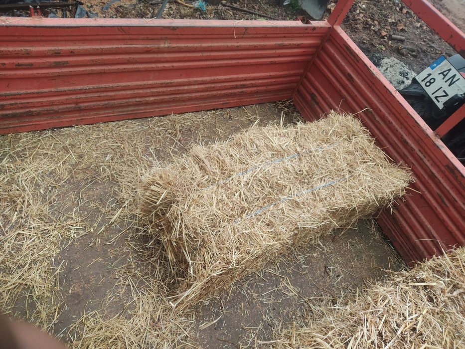 Fardos de palha pequenos