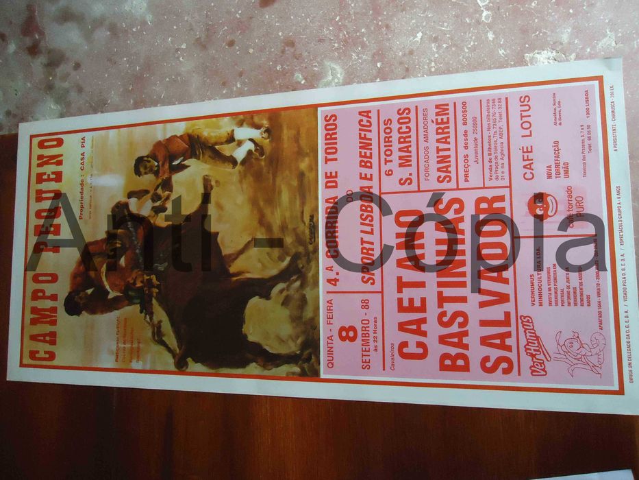 Toiros - Cartazes de Montra 1