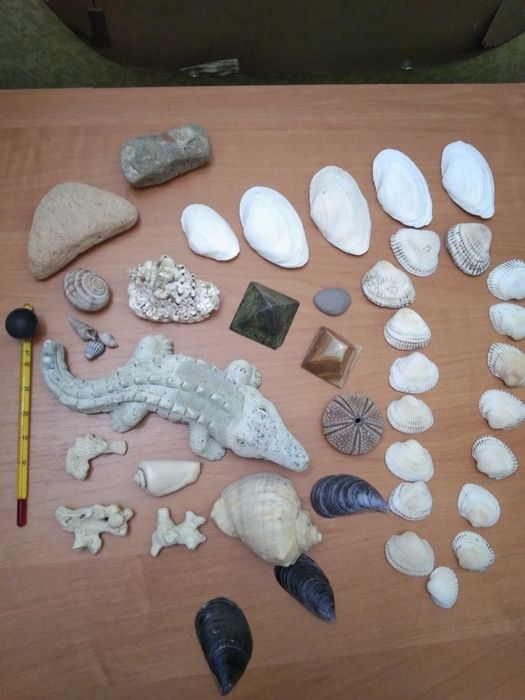 Набор,ракушки,украшения для аквариума,термометр