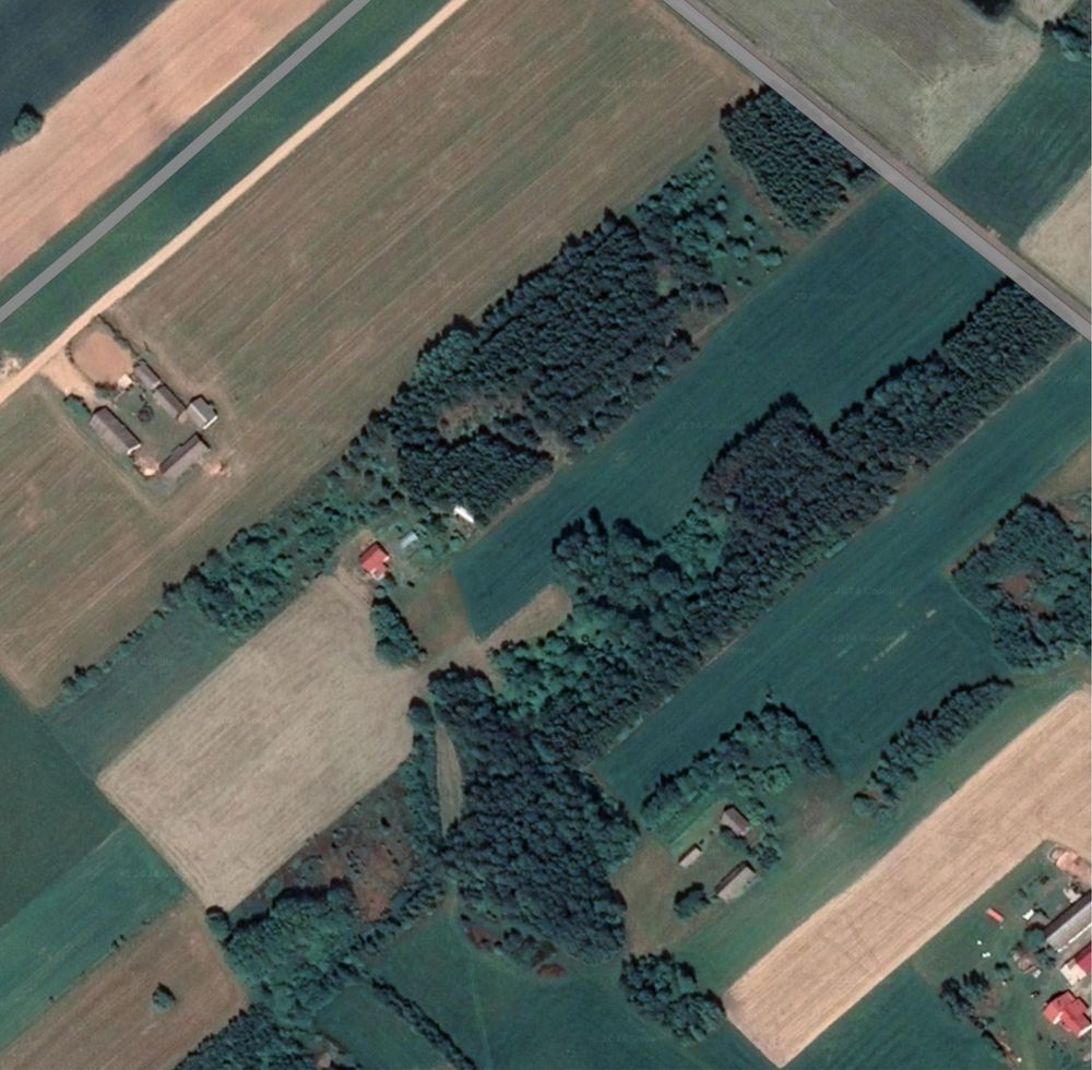 Działki Łubianka idealne na siedlisko 51128m2 (5,11 ha) gmina Janów