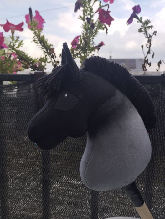 Hobby horse z kijem