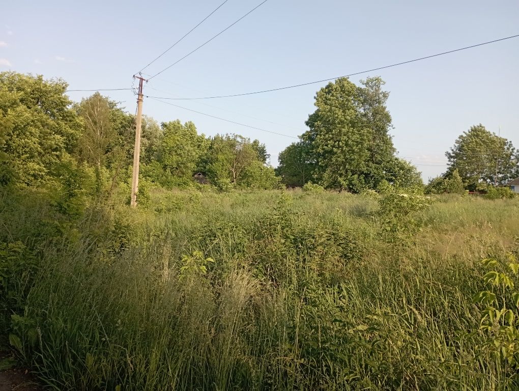 Продаам земельну ділянку ив с.Сальник