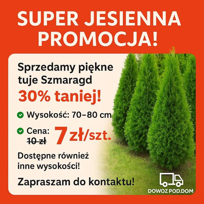 Jesienna promocja tuje szmaragd