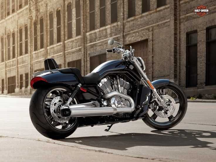 Спинка пассажира для Harley-Davidson Muscle VRSCF