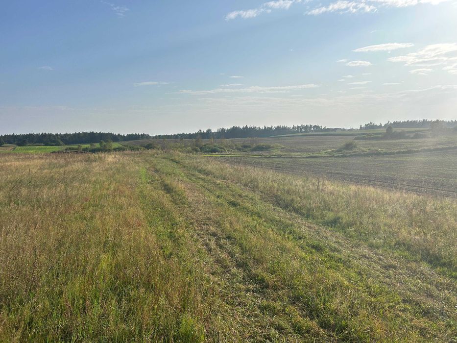 Promocja! - Działka Lębork, działka siedliskowa 3000m2 Siemirowice