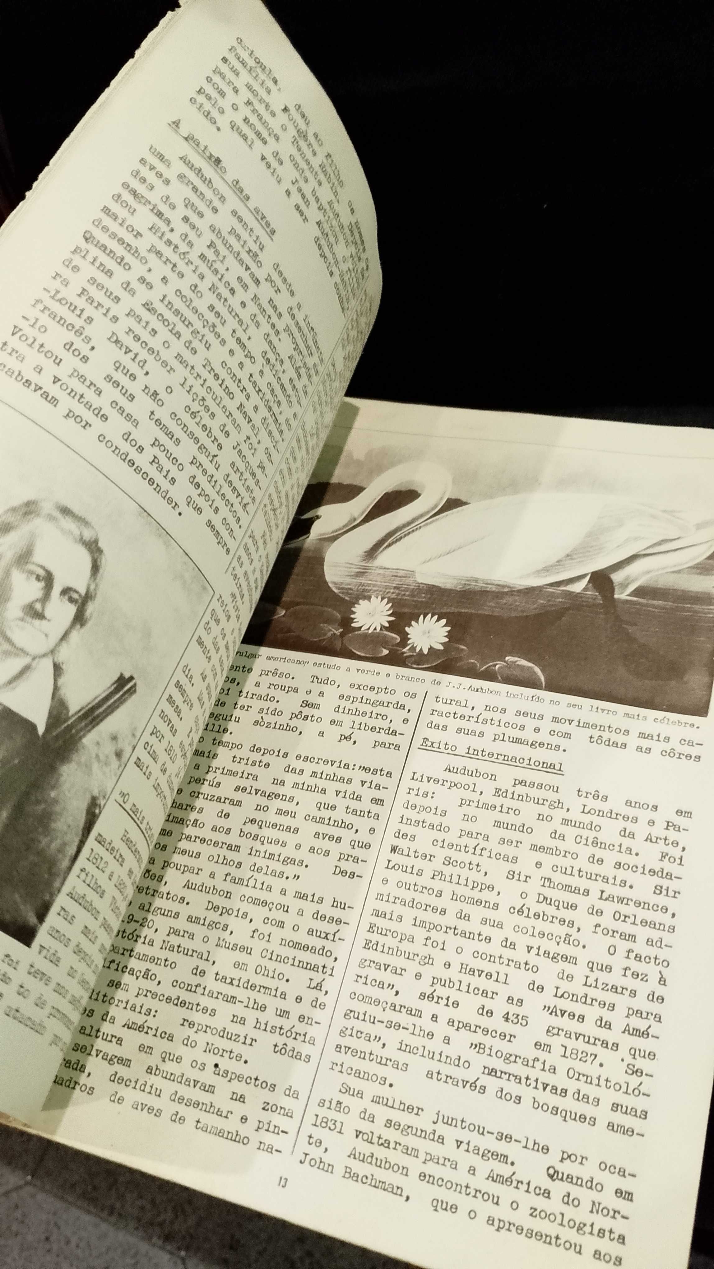Noticiário de Arte e Arqueologia na América do Norte