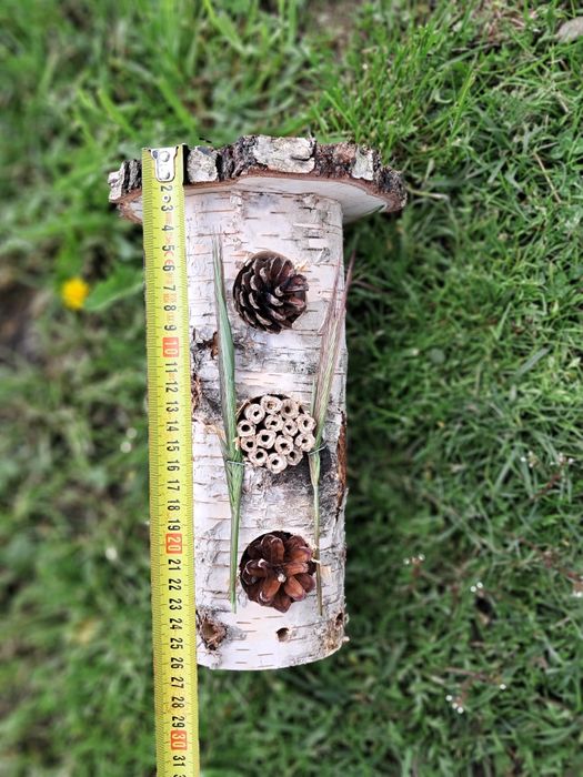 Insekt - domek hotel dla owadów !