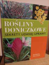 Rośliny doniczkowe sekrety udanej uprawy