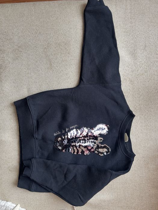 Світшот Zara утеплений з картинкою перевернем