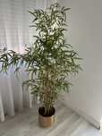 Planta com vaso dourado