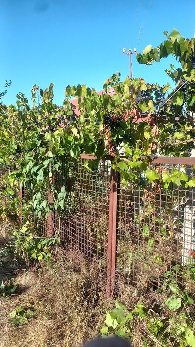 Продам дачу. Домик с пристройкой.5 соток.